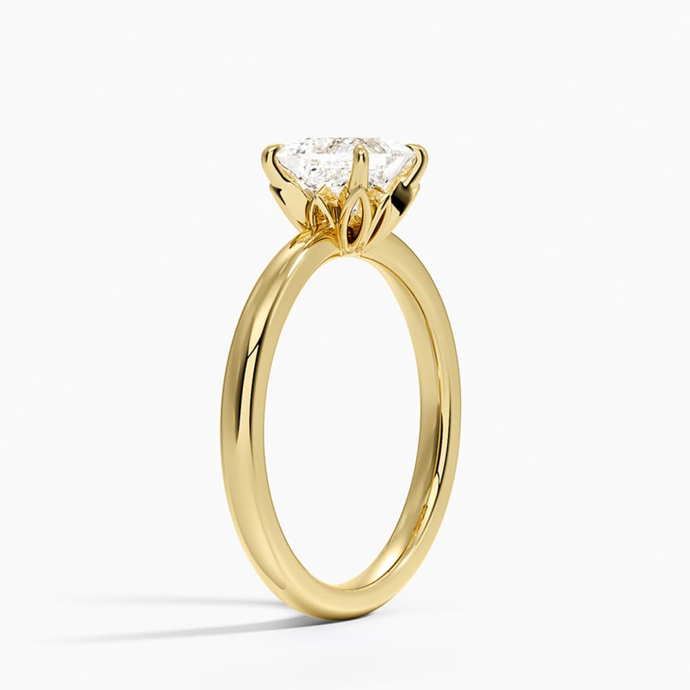 1 CT Princess Cut Lab Grown Diamond Engagement Ring - view 7