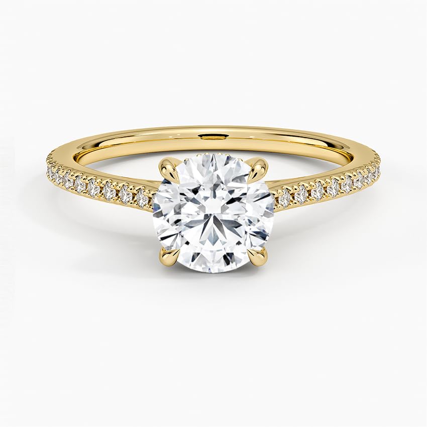 Hidden Halo 1 CT Round Cut Lab Grown Diamond Engagement Ring - view 4
