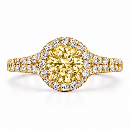 Yellow Round Cut Lab Grown Diamond Engagement Ring - Halo Pave in yellow gold, front view